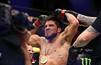 Генри Сехудо, Ти Джей Диллашоу, Марлон Мораес, MMA, Деметриус Джонсон, UFC 238, UFC, Петр Ян