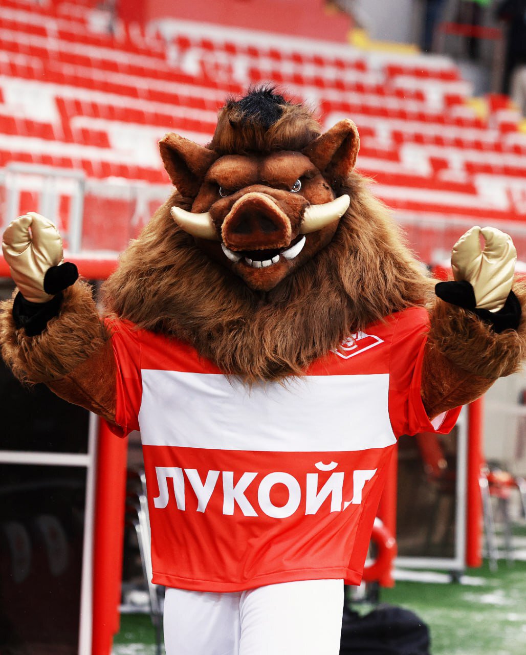 Спартак представил нового маскота кабана