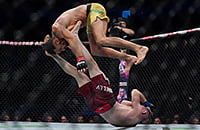 MMA, UFC Fight Night, UFC, Мичел Перейра
