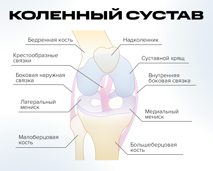 Болят колени при ходьбе по лестнице к какому врачу обратиться