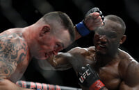 Александр Волкановски, MMA, Макс Холлоуэй, Колби Ковингтон, Аманда Нуньес, Жермен де Рандами, Камару Усман, UFC 245, UFC