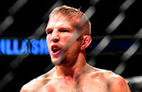 Петр Ян, Ти Джей Диллашоу, MMA, UFC