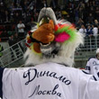 Авангард, Динамо (до 2010), суперлига России