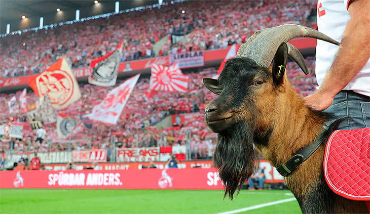 Матчи немецкого клуба открывает козел