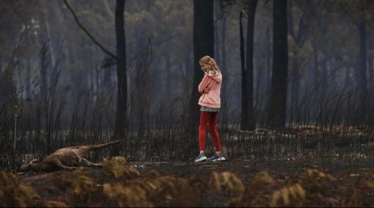 В Австралии жуткие лесные пожары: Джокович говорит о переносе Australian Open, воздух токсичен, животные гибнут миллионами