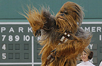Бостон, Тампа-Бэй, MLB