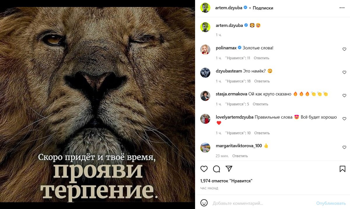 Дзюба опубликовал фото льва с подписью Скоро придет и твое время, прояви терпение