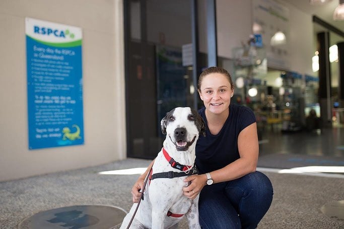 rue33df5547e8 барти теннисистка личная жизнь