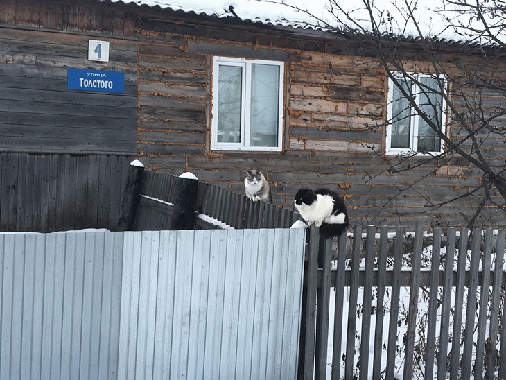 Профайлы и интервью: Русский супергерой, которого нам не хватило на Олимпиаде