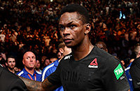 средний вес (MMA), Исраэль Адесанья, UFC