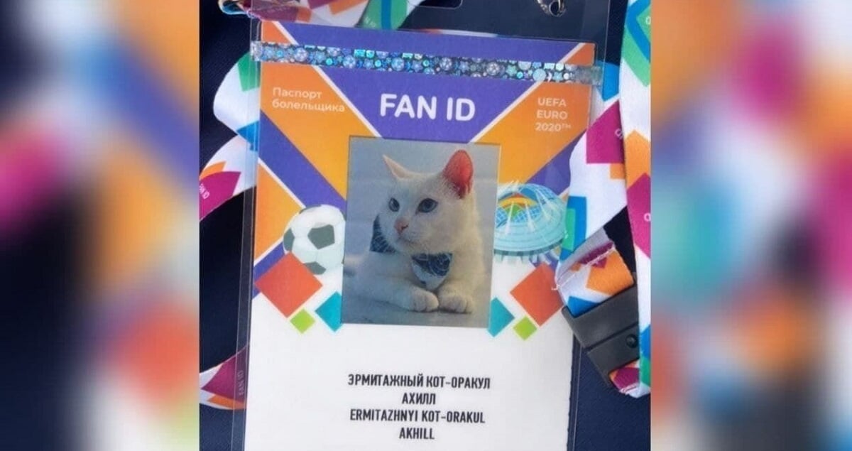РПЛ, КХЛ, Единая лига ВТБ могут сами решать вводить Fan ID или нет