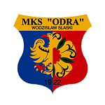 home logo