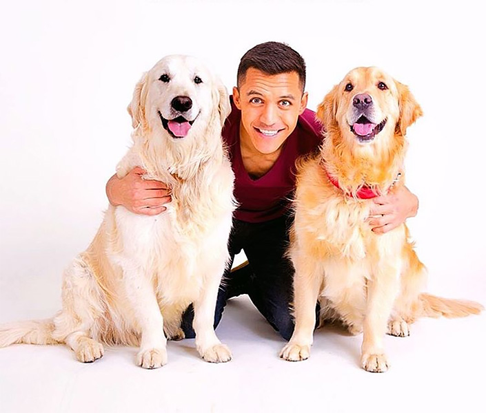Алексис Санчес дружит с собаками. И это прекрасно - 18 мне уже - Блоги -  Sports.ru