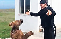 бокс, MMA, Хабиб Нурмагомедов, UFC