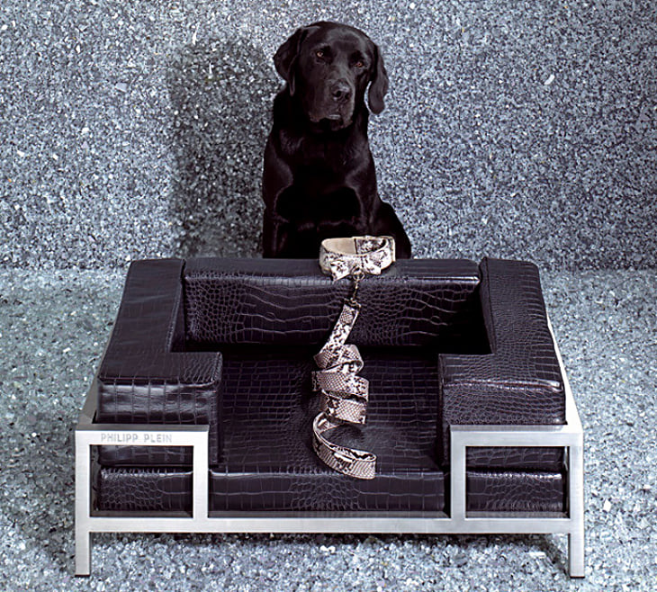 philipp plein dog bed