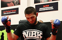 Джон Джонс, Генри Сехудо, UFC, Даниэль Кормье, Хабиб Нурмагомедов, Аманда Нуньес