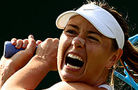 WTA, US Open, Мария Шарапова, животные и спорт