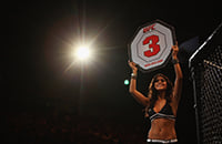 UFC, Хабиб – Порье, Дастин Порье, MMA, UFC 242, Хабиб Нурмагомедов
