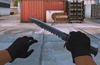 CS:GO