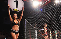 UFC Санкт-Петербург 2019, UFC