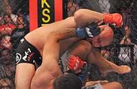 Фабрисио Вердум, MMA, Александр Волков, UFC, Федор Емельяненко