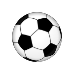 SoccerFan, SoccerFan