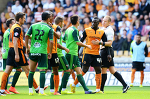 Предсезонные сборы от А до Я. Часть II - Wolverhampton Wanderers - Блоги - Sports.ru