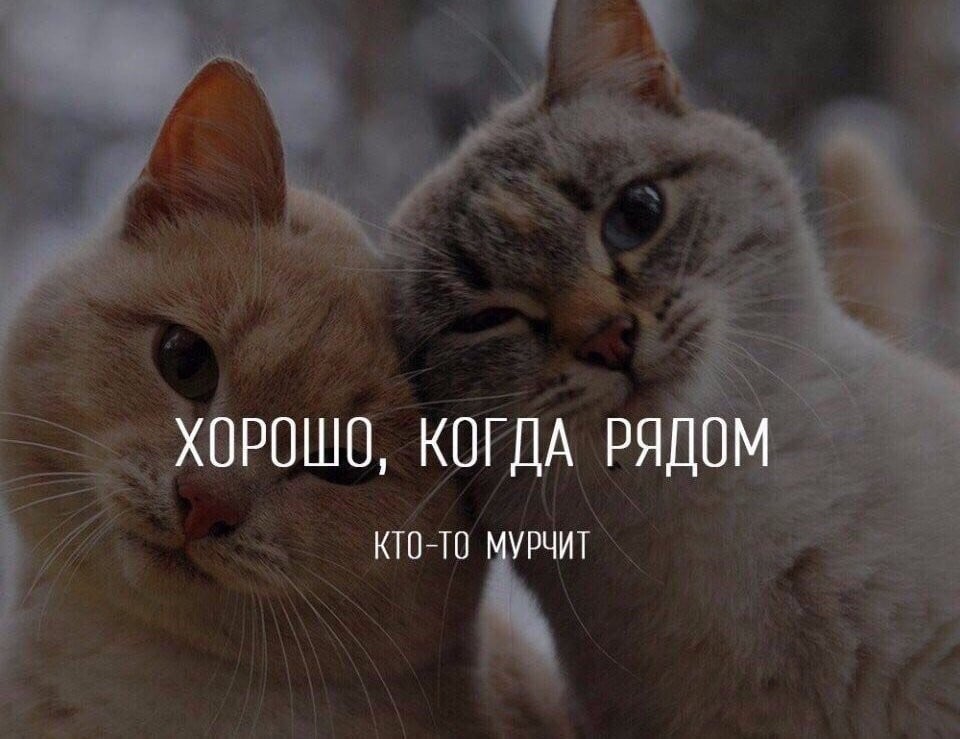 Картинки с надписями хорошо с тобой, цирка для