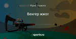 Венгер жжот