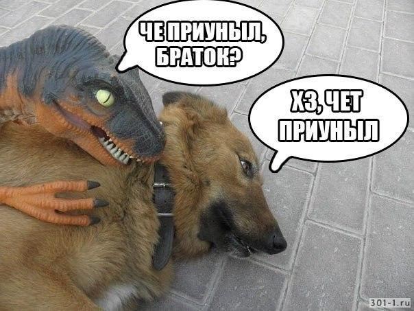 Результат пошуку зображень за запитом "вы днарь"