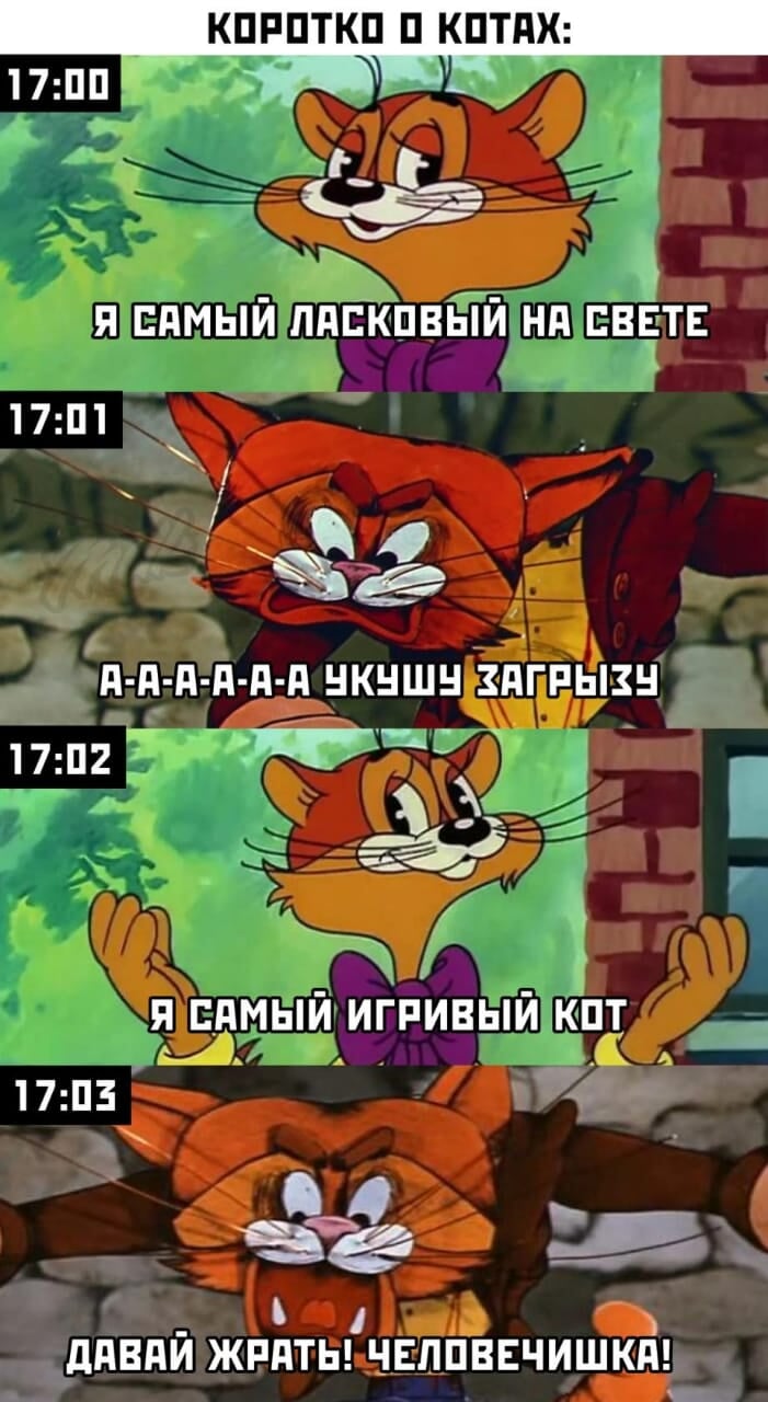 Анекдоты про кота Леопольда