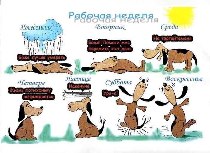 Рабочая неделя прикольные открытки, открытка днем