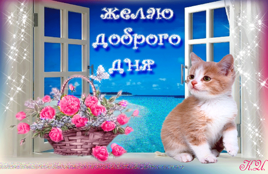 Котик улыбается - картинки и фото aikimaster.ru