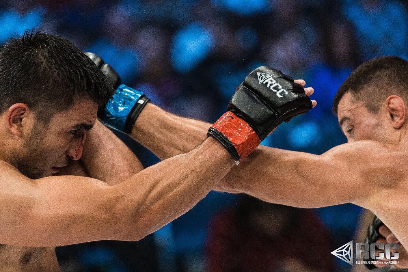 Rcc прямая трансляция сегодня. Турнир rcc 9. Бой александра емельяненко гонзаги. Пояс rcc мма. Шлеменко исмаилов 2022.