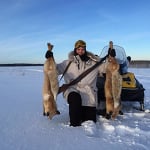 Teemu Hartikainen on Instagram: “Done some fox hunting lately..”