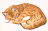 Goldenkisa