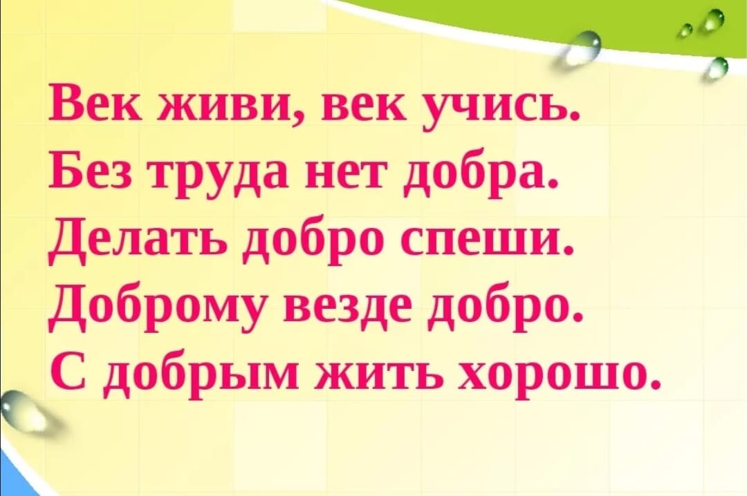 Рисунок век учись век живи