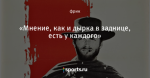 «Мнение, как и дырка в заднице, есть у каждого»