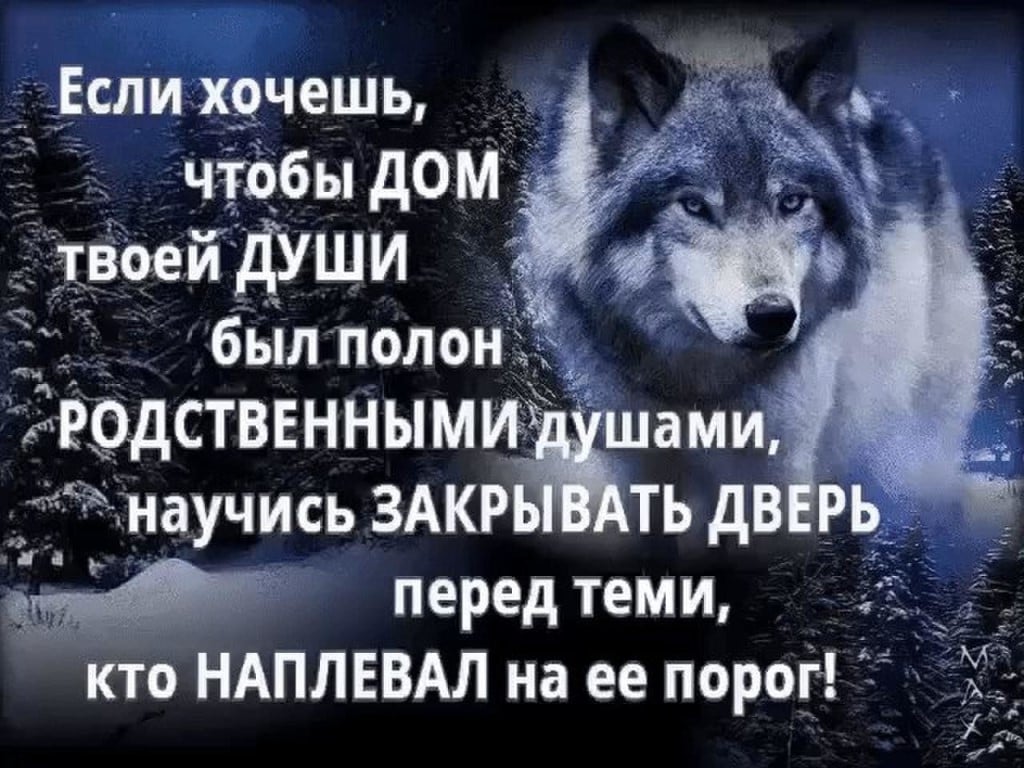 Про жизнь волков