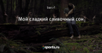 Мой сладкий сливочный сон