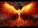 Immortal phoenix, Immortal phoenix