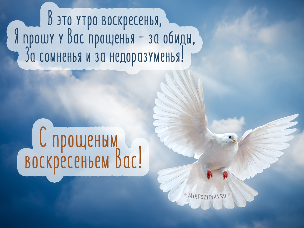 Открытки с прощенное воскресенье прошу прощения, дочке просто