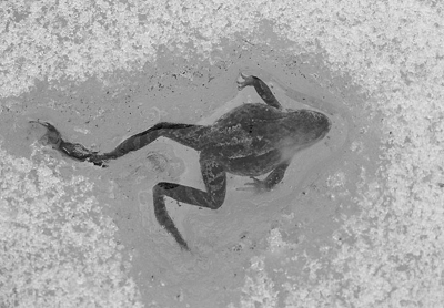 ruu51e9a4d9c3.97.400x300.jpg