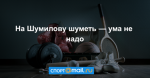 На Шумилову шуметь — ума не надо