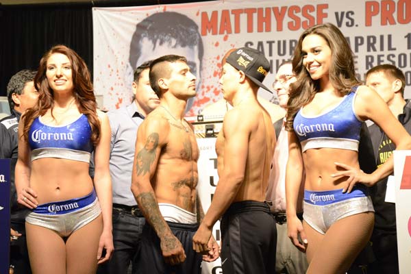 Проводников Matthysse