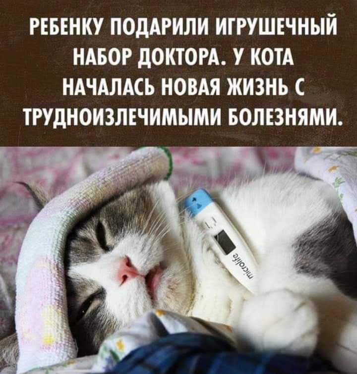 Котик болеет картинки смешные