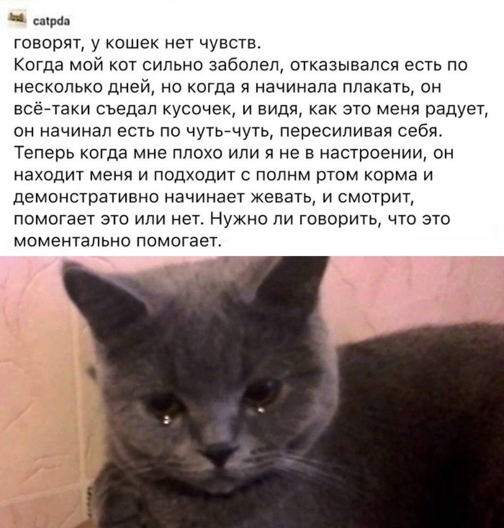 Это прекрасное чувство когда чувств нет. В твоих словах ни капли правды. То чувство мем. Когда нет чувств что это. И правды нет в твоих речах.