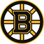 Bratsk Bruins, Bratsk Bruins