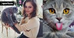 Ой ты, котенька-коток…