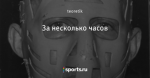 За несколько часов